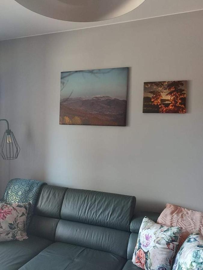 Lux Apartament Odkryj - Bieszczady Устрики-Долішні Екстер'єр фото